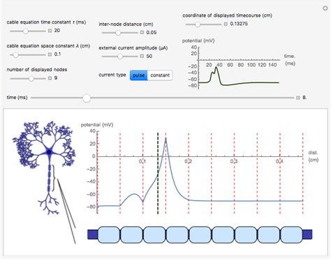 Action Potential Propagation along Myelinated Axons - Wolfram ...