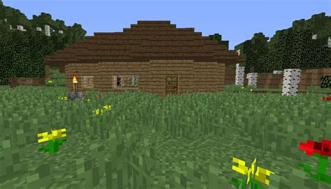 Survival House Minecraft Map