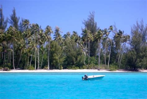 Moorea lagoon: photo of a tropical paradise