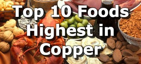 Top Copper Rich Foods (Foods High in Copper)