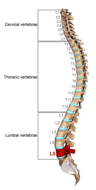 Overcoming Pain from Facet Joint Syndrome | SpineOne