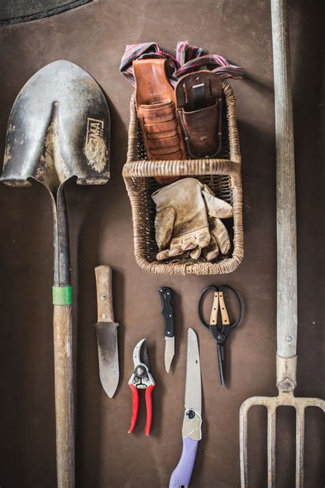 Essential Foraging Tools and Supplies | Wild food, Foraging, Wild food ...