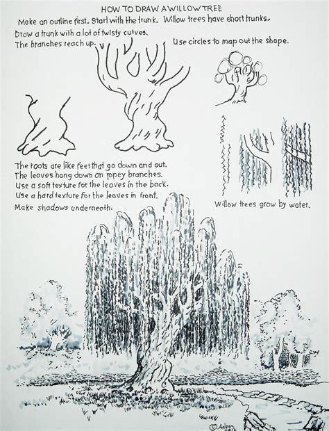 How to Draw Worksheets for The Young Artist: How to Draw a Willow Tree.