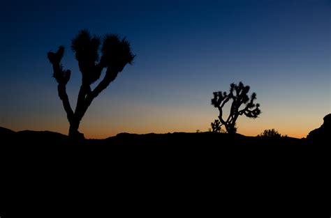 Sunrise over Joshua Tree National Park | Mike Chowla's Photo Blog