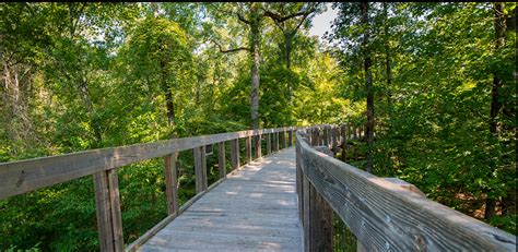 9 Of the Best Hiking Trails and Nature Preserves in Louisiana