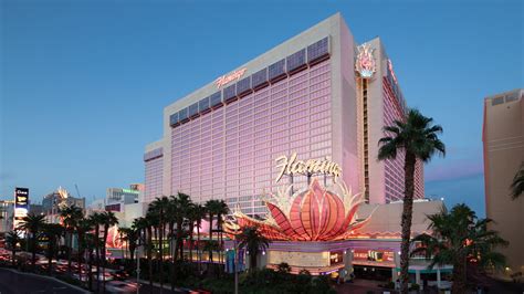 Flamingo Hotel Las Vegas: Guide to Vegas' Iconic Pink Palace