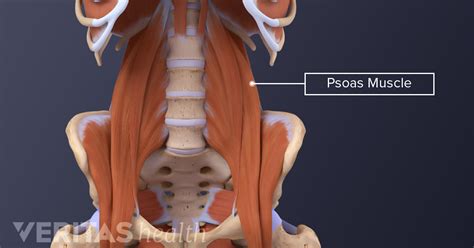 Psoas Muscle