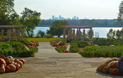 Pumpkins Take Over Dallas Arboretum Fall Festival