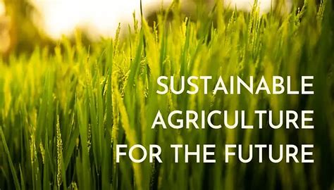 Factsheet on Sustainable Agriculture – TIGS