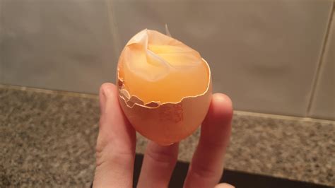 Egg membrane stayed intact when I tried to crack it : r/mildlyinteresting