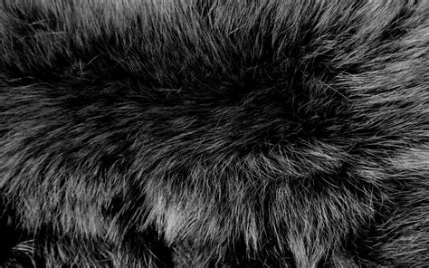 Fur Texture 7 by BFstock on DeviantArt