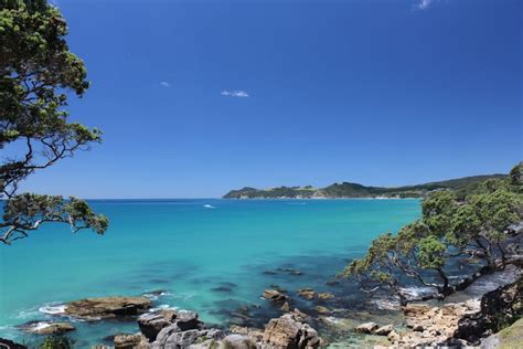 10 Things To Do In Northland New Zealand Every Visitor Should Try ...