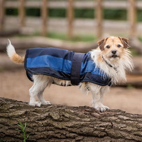 Dog Cooling Coat | Cool On TrackTM | Back On Track Canada