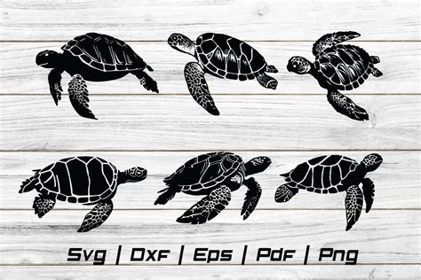 Turtle Sea Silhouette Svg Cut File Graphic By Jennadesignsstore