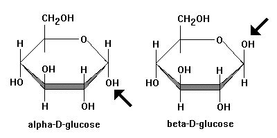 The term anomers of glucose refers to isomers of glucose that differ in ...