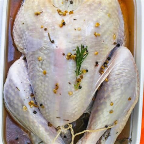 Best Turkey Brine (A Recipe For All Poultry!) - Our Zesty Life