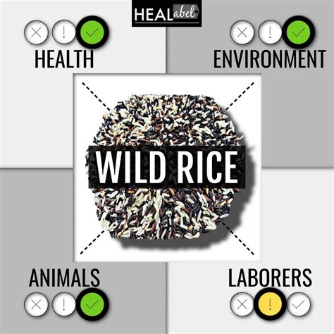 Wild Rice Benefits, Side Effects: Is It Low Fodmap, Vegan, Acidic?