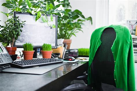 Office Cubicle Plants