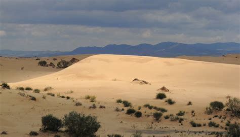 What Is the Average Yearly Rainfall in the Sahara Desert? | Sciencing