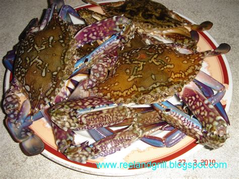 Reel and Grill: Ginataang Alimasag (Blue Crabs or Sea Crabs Cooked in ...