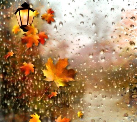 Rainy Fall Wallpapers - Top Free Rainy Fall Backgrounds - WallpaperAccess