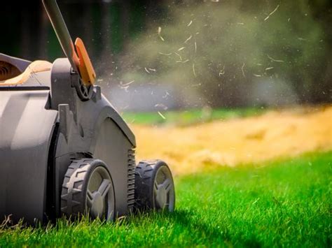 How to Aerate a Lawn | how-tos | DIY