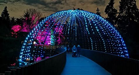 In photos: the magnificent light trails at Kew Gardens, Winter 2021