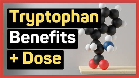 Tryptophan Benefits | Tryptophan Supplements | Tryptophan Side Effects ...