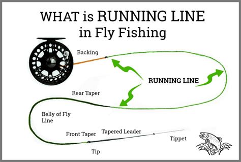 What is RUNNING Line in Fly Fishing: Is it Different than Shooting Line ...