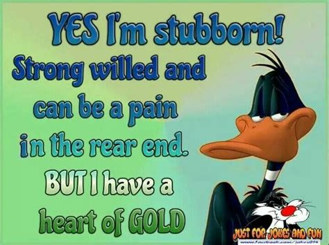 Stubborn | Stubborn, Memes, Funny