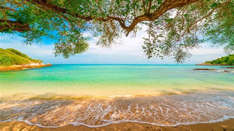 Tropical Sand Beach Lagoon Coastline Sea Waves Turquoise Water Trees ...