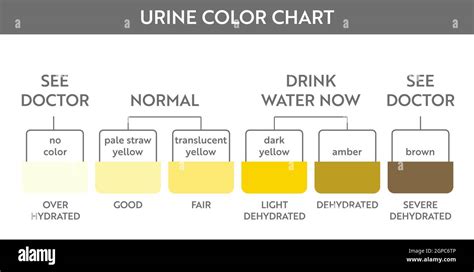 Urine Color Chart For Assessing Hydration And Dehydration Pee Color ...