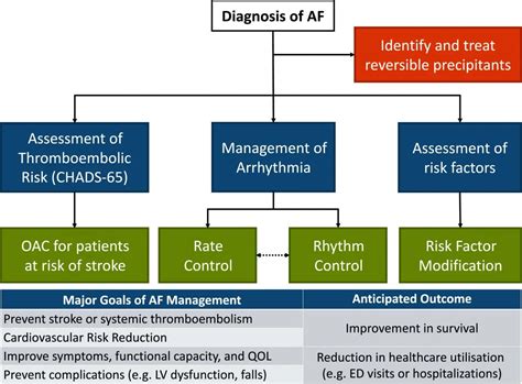 Atrial Fibrillation - Cardio Guide