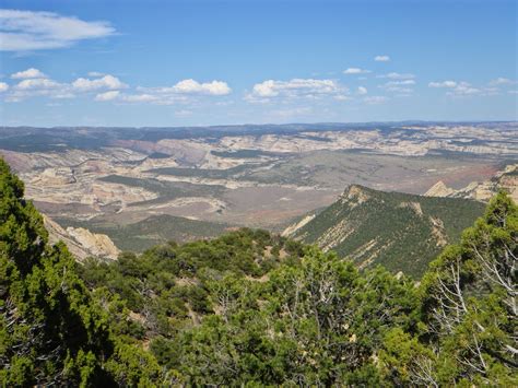 Seven Minutes to the Top: Stay the Course: The Great Basin Desert