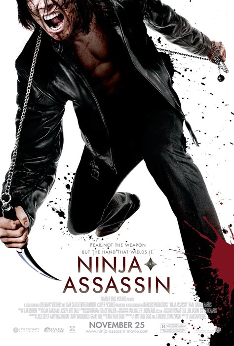 Download Ninja Assassin (2009) Dual Audio {Hindi-English} 480p [300MB ...