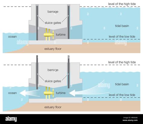 Diagram of a tidal power barrage, wind, renewable energy, alternative ...