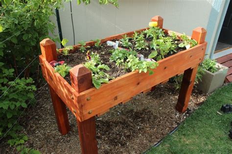 DIY Raised Planter Box – A Step-by-Step Building Guide