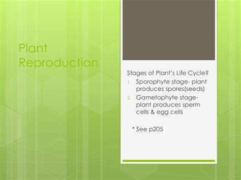 6.2 Plant Reproduction