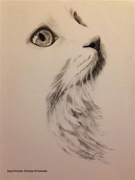 Pen And Ink Animal Drawings at PaintingValley.com | Explore collection ...