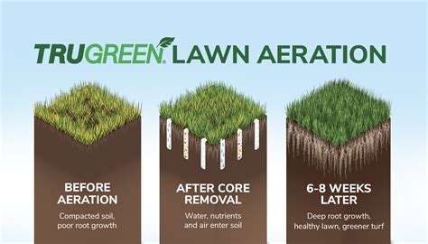 7 Benefits of Lawn Aeration – TruGreen | TruGreen