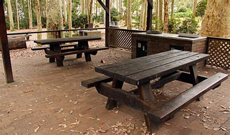 Depot Beach campground | NSW National Parks