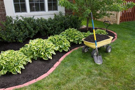 What is Mulching? The Pros and Cons of Organic Mulching - Para Space