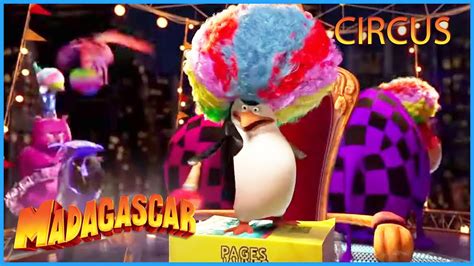 Madagascar 3 Movie Circus Afro