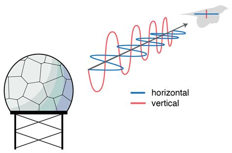 How many types of radar are there?