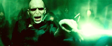 Harry Potter GIF - Find & Share on GIPHY