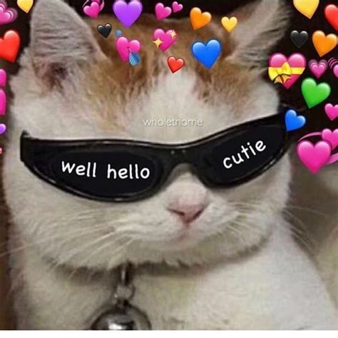 #wholesome #meme #cat #sunglasses #love #cute - #Cat #CUTE #Love #meme ...