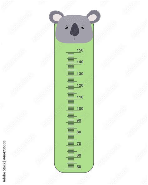 Kids meter wall with cute koala. Stadiometer for little children. Kids ...