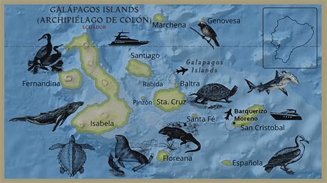 Galapagos Map & Visitor Sites - GALAPAGOS GALAPAGOS CONNOISSEUR