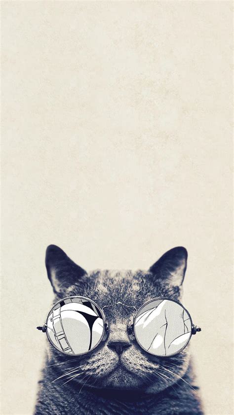 Cat with Glasses Wallpapers - Top Free Cat with Glasses Backgrounds ...