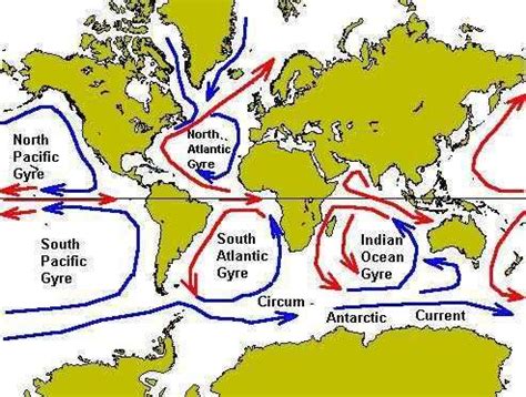 North Atlantic Gyre - Alchetron, The Free Social Encyclopedia